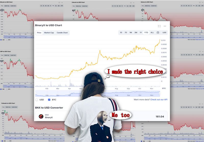 Binaryx Platform Evaluation - Is it Safe and Legit?